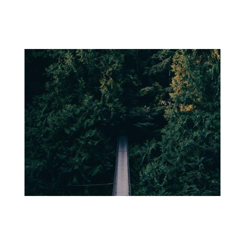 Lightweight Wooden Bottle fr-FR